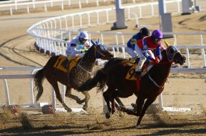 Is Legal Indian Horse Racing Betting Legal in India? Complete 2026 Guide